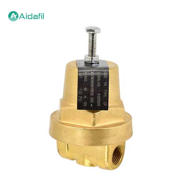 406929 Differential Pressure Valve Regulator